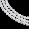 Natural Rainbow Moonstone Beads Strands G-RM250101-B20-3