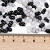 Glass Seed Beads SEED-K010-03J-4