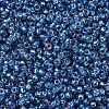 MIYUKI Round Rocailles Beads SEED-G007-RR1025-2