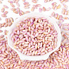 Baking Paint Glass Seed Beads SEED-N008-06B-2