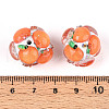 Fruit Round Resin Beads RESI-T059-03G-3