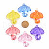 Transparent Acrylic Pendants TACR-T024-01B-3