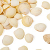 Natural Shell FIND-TAC0026-10B-7