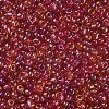 Round Glass Seed Beads SEED-A007-3mm-165-2