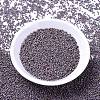MIYUKI Delica Beads SEED-X0054-DB1067-2
