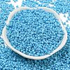Baking Paint Glass Seed Beads SEED-S042-05A-38-2