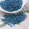 MIYUKI Delica Beads SEED-X0054-DB0149-4