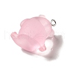 Translucent Resin Pendants RESI-E031-01P-03-4