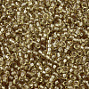 MIYUKI Round Rocailles Beads X-SEED-G007-RR1925-2