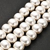 Shell Pearl Beads Strands BSHE-F013-01A-2