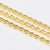 Iron Twisted Chains Curb Chains CHS001Y-G-1