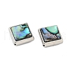 Natural Paua Shell Beads SSHEL-M024-03C-P-2