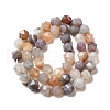 Natural Botswana Agate Beads Strands G-K382-A14-02-3