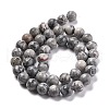 Natural Map Stone/Picasso Stone/Picasso Jasper Round Beads Strands G-E329-10mm-47-2