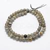 Natural Labradorite Beads Strands G-P322-33-6mm-2