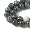 Natural Dioptase Beads Strands G-D302-02-6mm-4