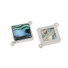 Brass Pave Natural Paua Shell Connector Charms KK-M299-01A-P-3