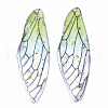 Transparent Epoxy Resin Big Pendants X1-RESI-T046-01C-1