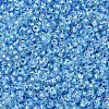 MIYUKI Round Rocailles Beads X-SEED-G007-RR1018-1