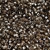 Glass Seed Beads X1-SEED-S042-04A-09-3