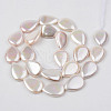 Electroplate Natural Freshwater Shell Beads Strands X-SHEL-R049-026B-2