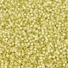 MIYUKI Delica Beads SEED-J020-DB0623-3