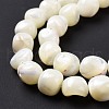 Natural Trochid Shell Beads Strands SSHEL-G023-04A-4