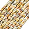 Natural Crazy Agate Beads Strands G-P575-A04-8x5mm-01-2