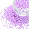 13/0 Glass Seed Beads SEED-T005-14A-A13-1