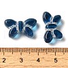 Transparent Lampwork Beads LAMP-P065-02A-4