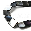 Natural Black Lip Shell Beads Strands BSHE-D300-07-12mm-3