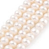 Natural Cultured Freshwater Pearl Beads Strands PEAR-C003-12I-2