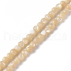 Natural Trochid Shell/Trochus Shell Beads Strands SSHEL-S266-023B-01-1