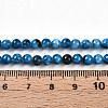 Natural Persian Jade Beads Strands G-A255-A02-04F-5