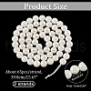 Glass Pearl Beads Strands SHEL-WH0001-009A-1-3