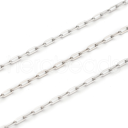 Non-Tarnish 3.28 Feet 304 Stainless Steel Paperclip Chains X-STAS-H111-03P-1