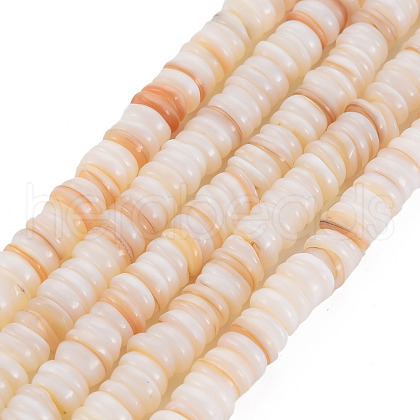 Natural Freshwater Shell Beads Strands SHEL-T018-31-1