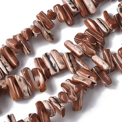 Dyed Natural Trochus Shell Beads Strands SSHEL-C013-09B-1