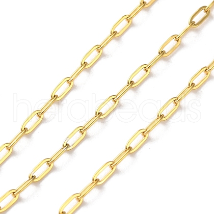 304 Stainless Steel Paperclip Chains CHS-R020-06G-01-1