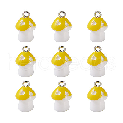 Plastic Pendants KY-TA0001-15B-1