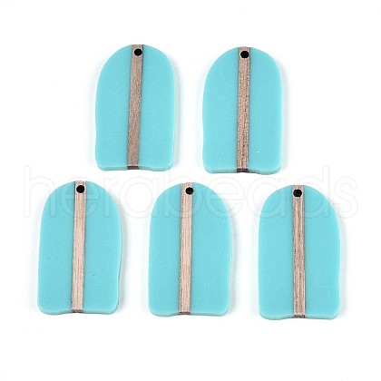 Opaque Resin & Wood Pendants RESI-T057-48A-1