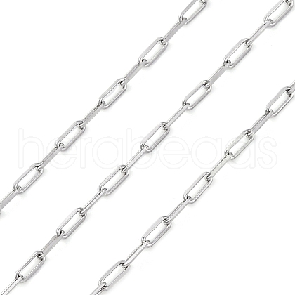 304 Stainless Steel Paperclip Chains CHS-M009-04P-02-1