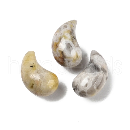 Natural Crazy Lace Agate Pendants G-NH0047-01A-1