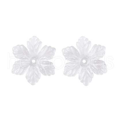 Transparent Acrylic Bead Caps TACR-G050-04C-1