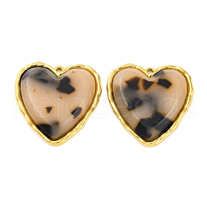 304 Stainless Steel Pendants STAS-V004-06G-03-1
