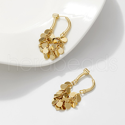 Alloy Teardrop Tassel Hoop Earrings FS-WG80DFE-01-1