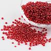 8/0 Glass Seed Beads X-SEED-A005-3mm-25B-1