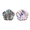 Natural Paua Shell/Abalone Shell Beads SSHEL-R046-02-2