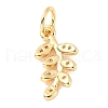 Plating Brass Micro Pave Clear Cubic Zirconia Pendant KK-B055-02G-2