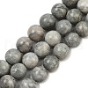 Natural Gemstone Beads Strands G-F792-C12-01-2